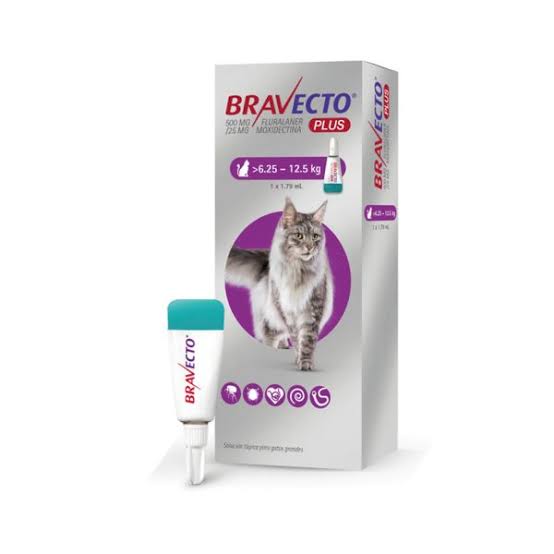 Anti Pulgas Bravecto Plus para Gatos de 6,24kg a 12,5kg