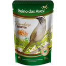 Reino Boiadeiro Insetos